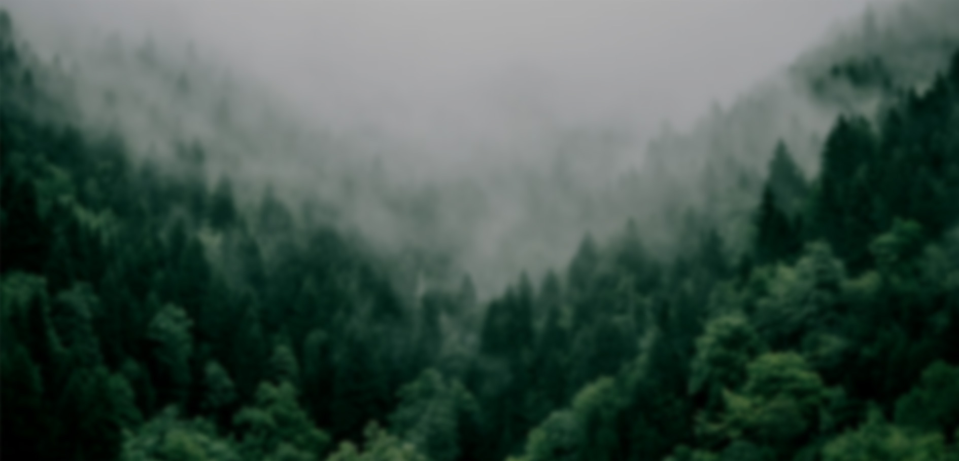 關鍵詞：山林生態、低碳自然稟賦、生態固碳、綠色低碳基底
    描述：朦朧的山林景觀，以豐富植被展現生態固碳的低碳自然稟賦，是區域綠色低碳發展的天然基底，為低碳生態體系構建提供自然支撐。